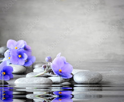 Canvas Print Blue flower and stone zen spa on grey background