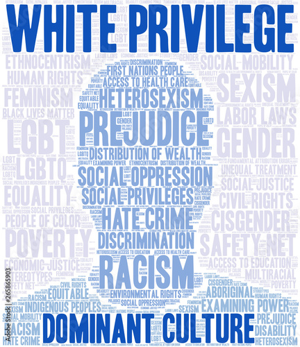 White Privilege Word Cloud on a white background.