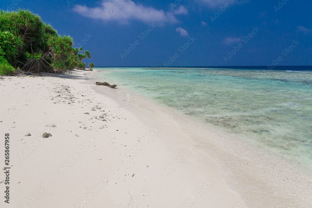 Maldives,  tropical sea background