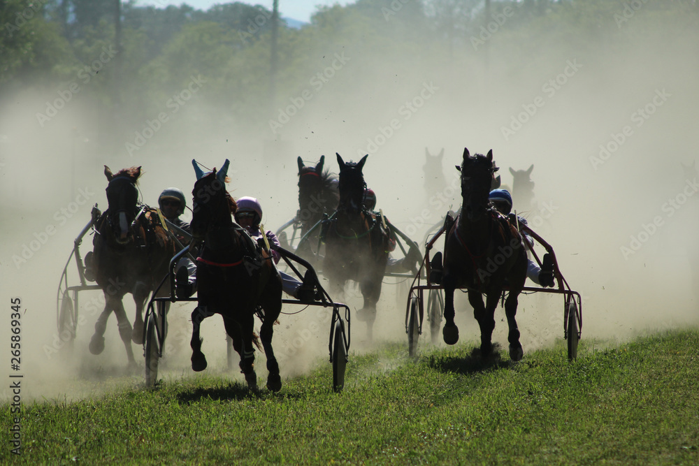 course de chevaux au trot attelé en france course de chevaux au trot attelé en france