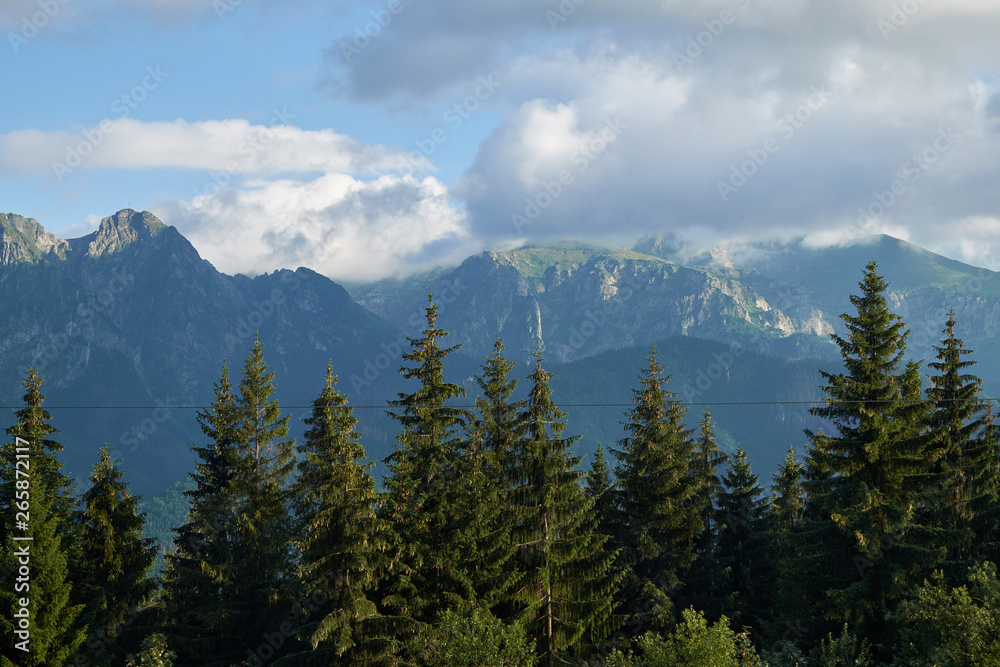 The Tatra Mountains, Tatras, or Tatra - a mountain range that forms a natural border between Slovakia and Poland The Tatra Mountains, Tatras, or Tatra - a mountain range that forms a natural border between Slovakia and Poland