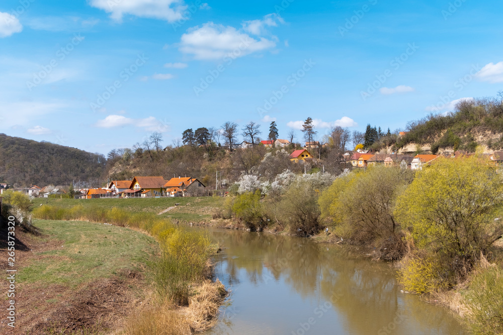 Spring landscape with the river Tarnava Mare in Sighisoara