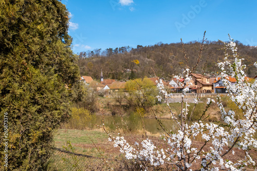 Spring landscape with the river Tarnava Mare in Sighisoara. Old houses with brick rooftops photo