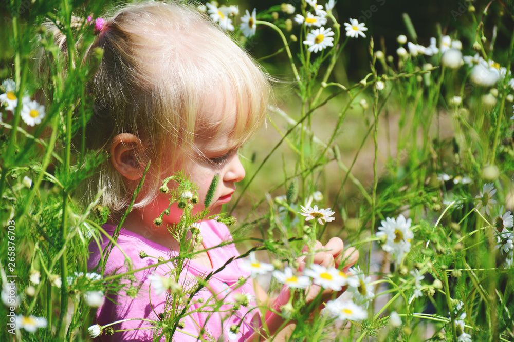 cute little smiling girl in chamomile field cute little smiling girl in chamomile field