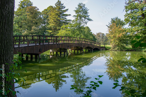 bridge over a lake in a green forest park 