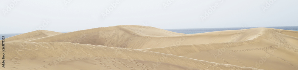 Sand dunes in the lonely desert 