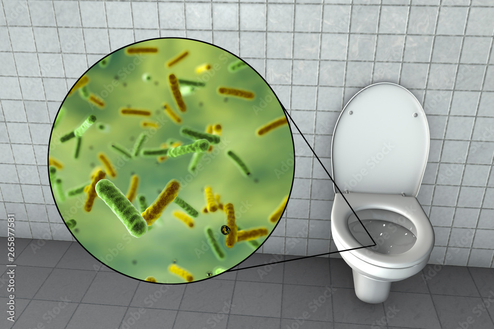 Toilet microbes, conceptual 3D illustration. Transmission of diarrheal