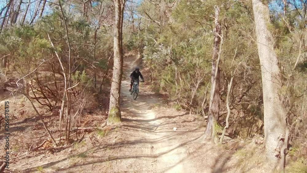 An extreme MTB mountain biker ridestrails behind a friend very fast in a forest on a sunny afternoon. An extreme MTB mountain biker ridestrails behind a friend very fast in a forest on a sunny afternoon.