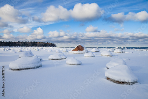 Frozen coast of Baltic sea covered by snow. Boulders, horizon and forest photo