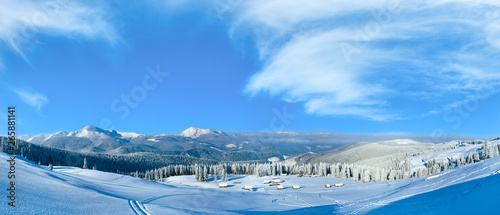 Winter mountain panorama © wildman