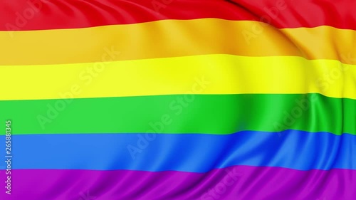 4K Seamlessly Looping 6 Stripes Pride Flag Series E