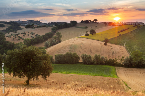 Italy, Marche. Macerata district. Corridonia. Typical Marche landscape near Corridonia Village.