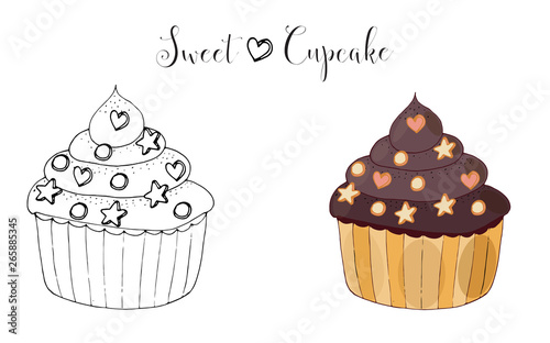 Vector isolated cake or cupcake  dessert with berry