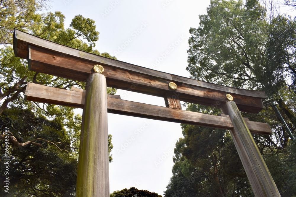 Gate to Meiji-jingu - the biggest and the most famous shinto shrine, Tokio, Japan Gate to Meiji-jingu - the biggest and the most famous shinto shrine, Tokio, Japan