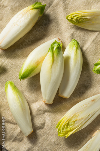 Raw Organic Belgian Endive photo