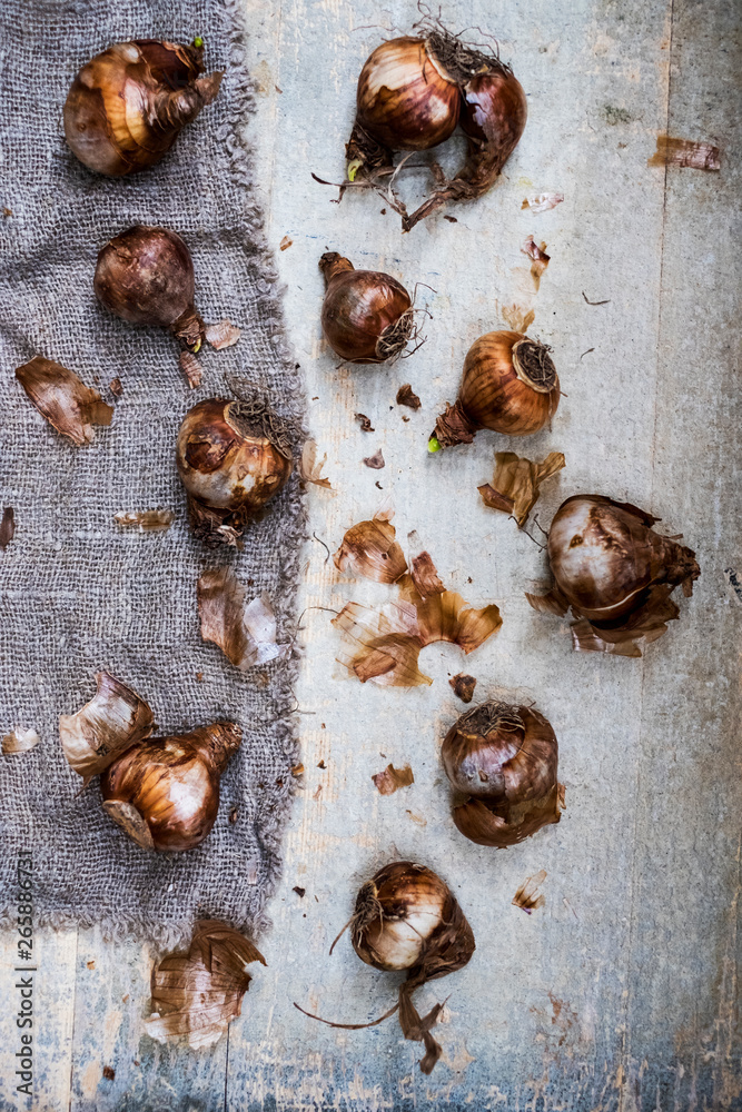 custom made wallpaper toronto digitalHigh angle close up of crushed brown onions on grey background.