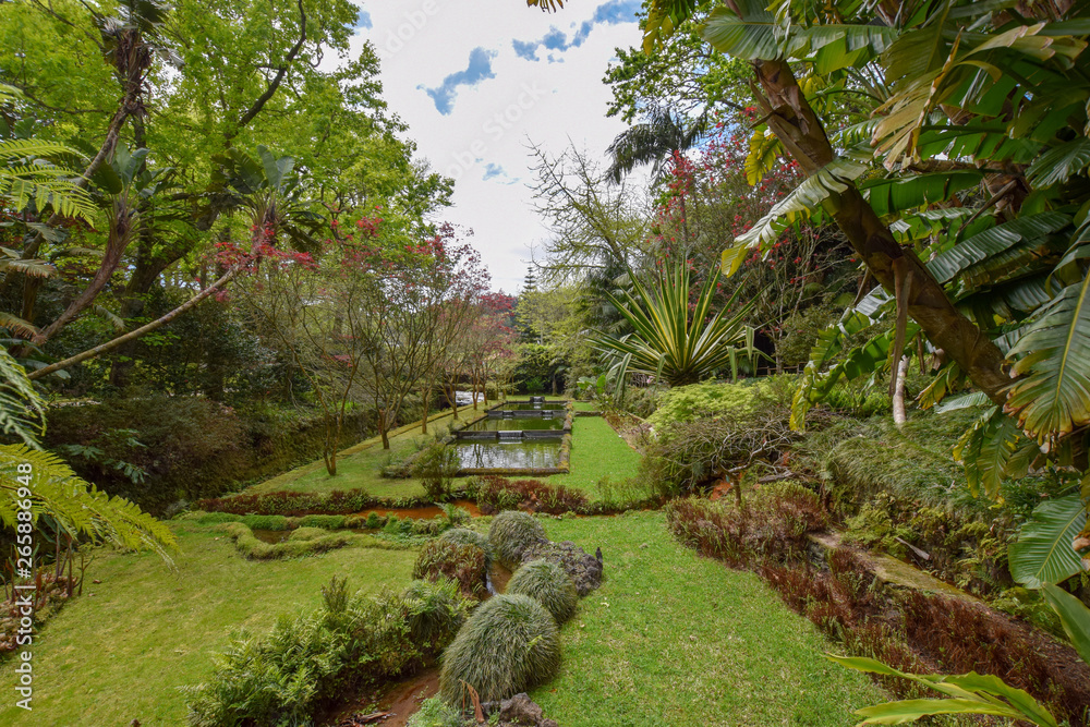 scenery at the azores island scenery at the azores island