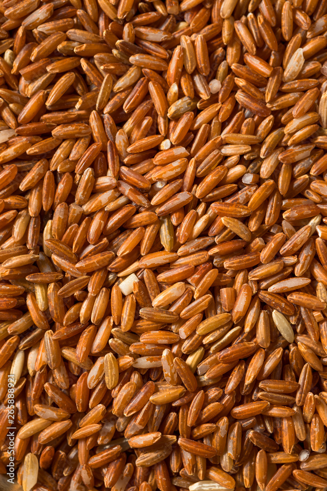 Dry Organic Red Rice Dry Organic Red Rice