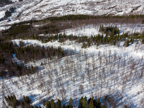 Aerial view of winter landscape with trees covered with snow