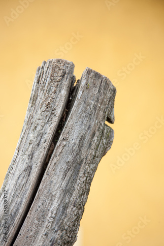 Detail of a old cracked wooden post photo