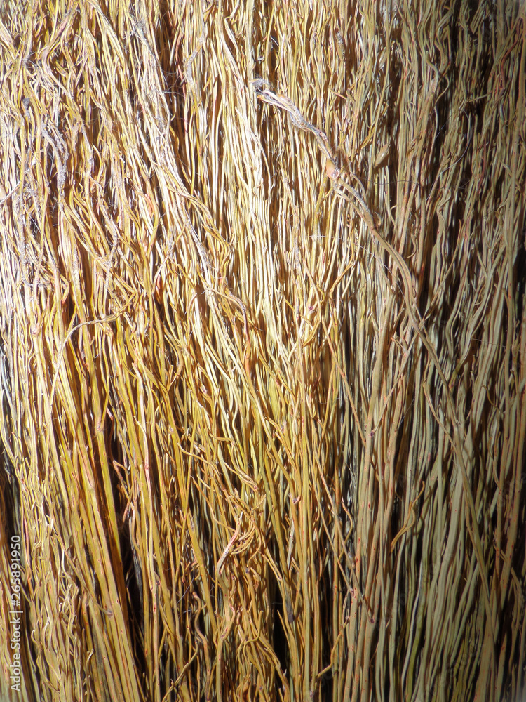 Straw yellow background close-up with detail. Straw yellow background close-up with detail.