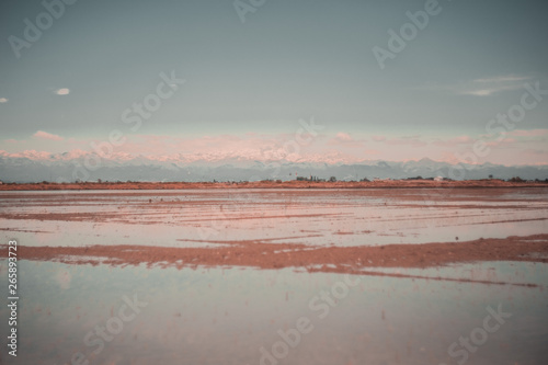 Paesaggio composto da cielo acqua al tramonto sulla risaia photo