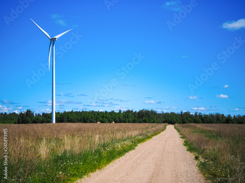 Wallpaper Mural Wind power generator on an empty field. Green forest in the background. The road leads to the wind turbine. Green energy on a sunny day. Blue sky with clouds. Ecology and energy conservation concept. Torontodigital.ca