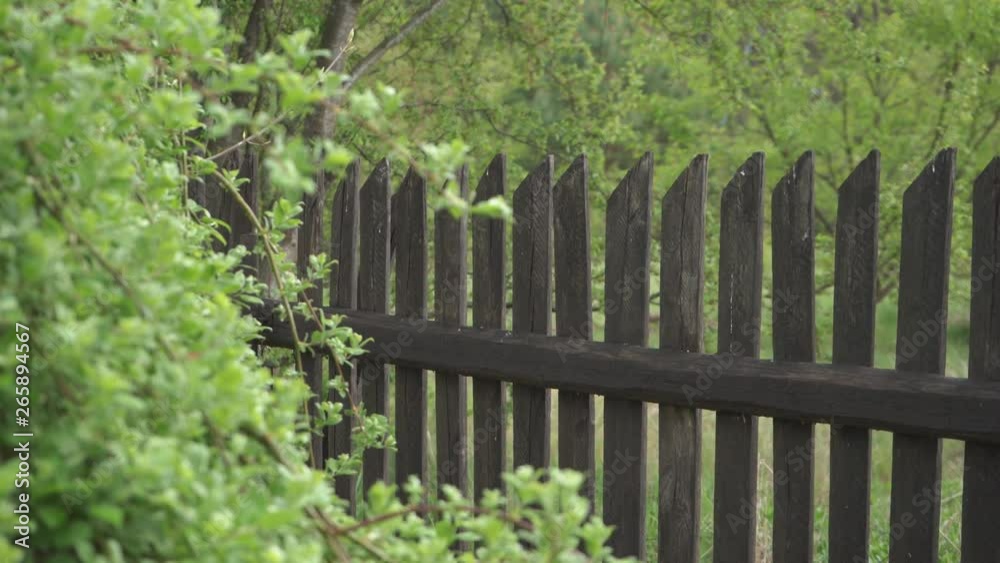 old wooden fence, rainy day, trees and green in the background old wooden fence, rainy day, trees and green in the background