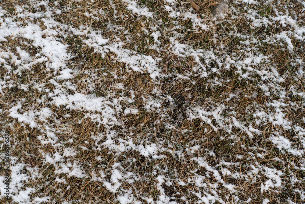 Obraz premium snowtexture2