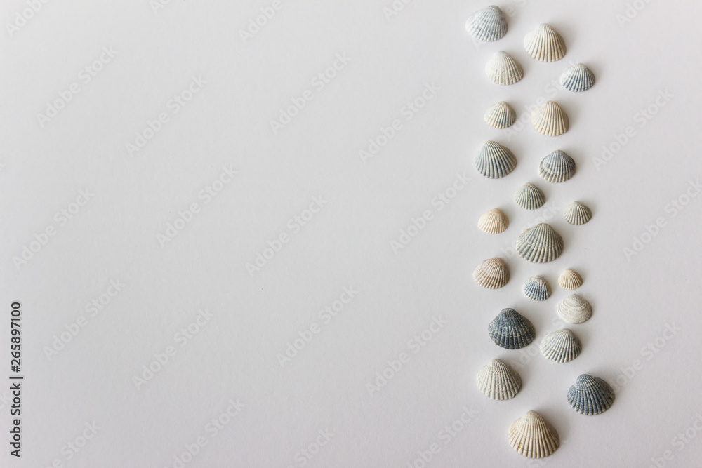 Photo with copy space and seashells Photo with copy space and seashells
