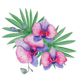 Watercolor bouqet with orchids and tropic leaves. Hawaiian exotic illustrations for greeting card, wedding, wallpaper.