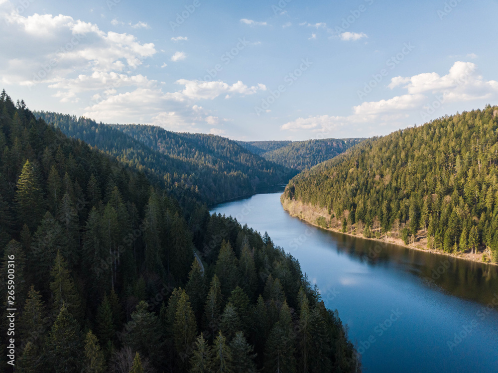 Fototapeta premium Schwarzwald Fjord
