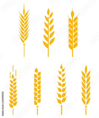 Vector logo design and elements of wheat grain.