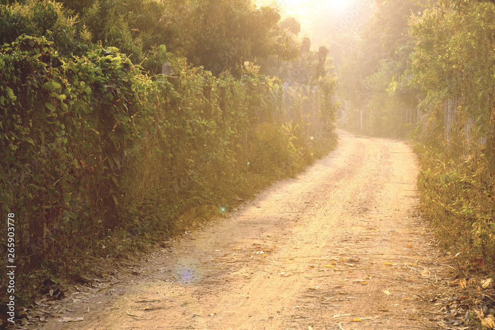 Fototapeta premium Rural gravel country road with sunlight in the morning at the countryside of Thailand.