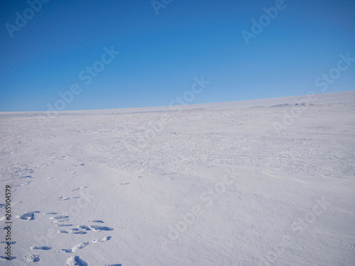 Beautiful landscape of Ice field