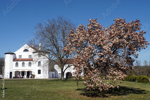 Schloss Brundlund