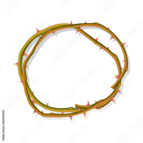 The Round frame from thorns isolated on a white background, frame for your photo or text, vector illustration