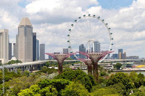 シンガポール、スーパーツリーと観覧車