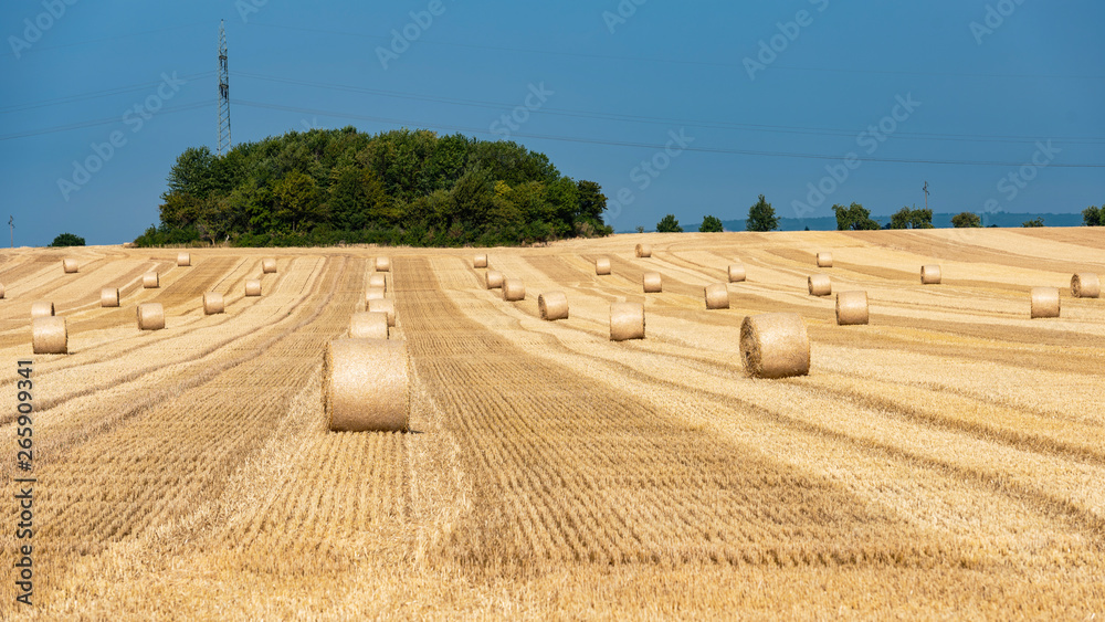 field with bales of hay