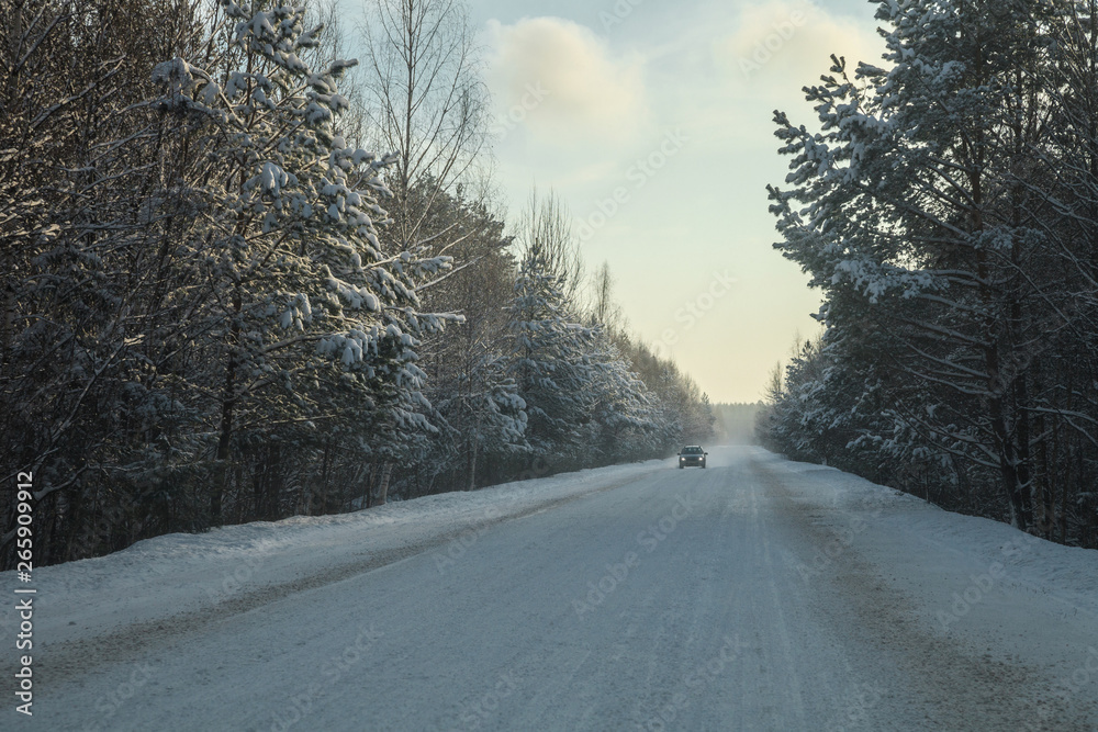 Obraz premium Car at the winter forest highway