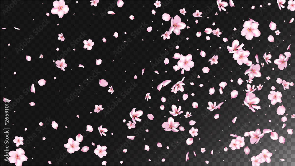 Nice Sakura Blossom Isolated Vector. Magic Flying 3d Petals Wedding Paper. Japanese Oriental Flowers Wallpaper. Valentine, Mother's Day Magic Nice Sakura Blossom Isolated on Black