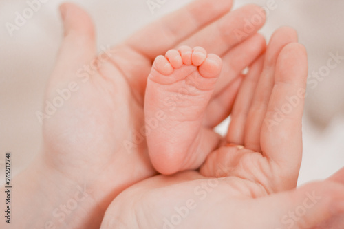 Pregnancy, maternity, preparation and expectation motherhood, giving birth concept. Newborn baby feet in hands of mommy