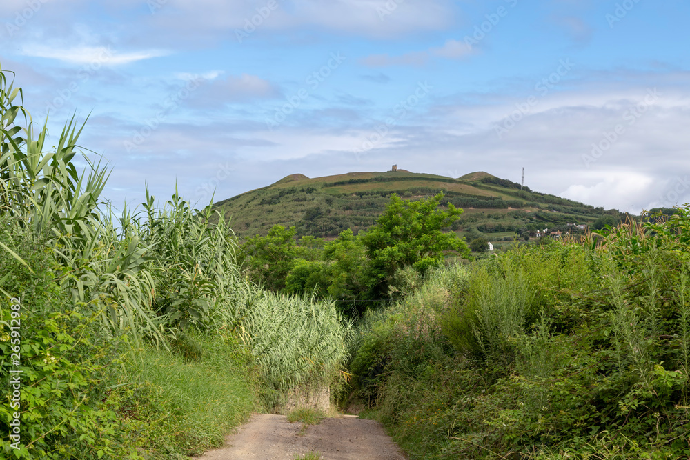 Naklejka premium Rural Road