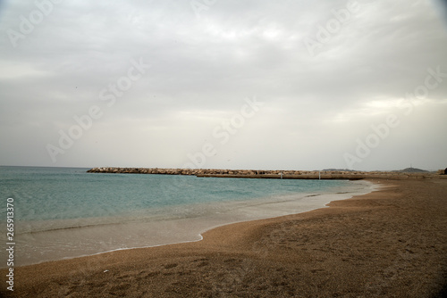 Plage de M  diterran  e et ses Go  lands bruns 7