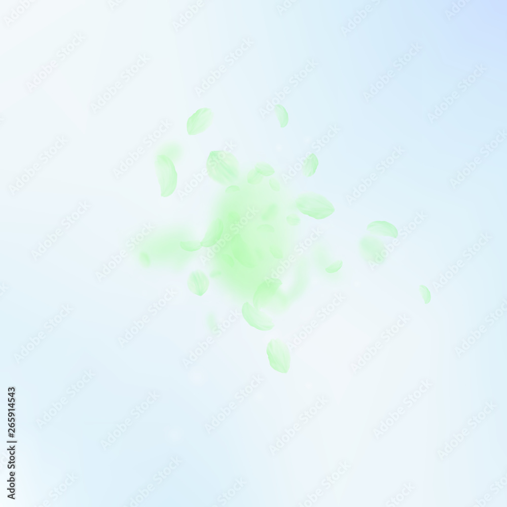 Green flower petals falling down. Unequaled romant Green flower petals falling down. Unequaled romant