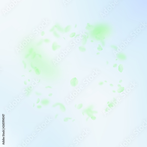 Green flower petals falling down. Admirable romant