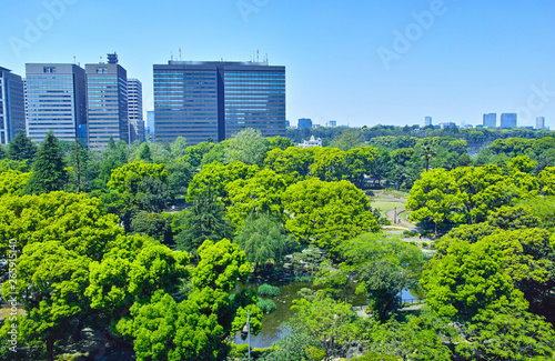 日比谷公園の森と東京の街並み