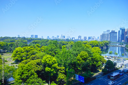 日比谷公園の森と東京の街並み