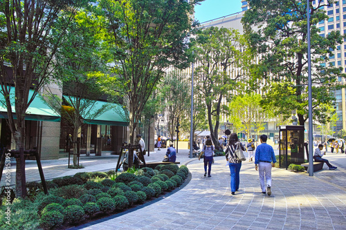 東京有楽町、木漏れ日の射す日比谷の新緑のプロムナード