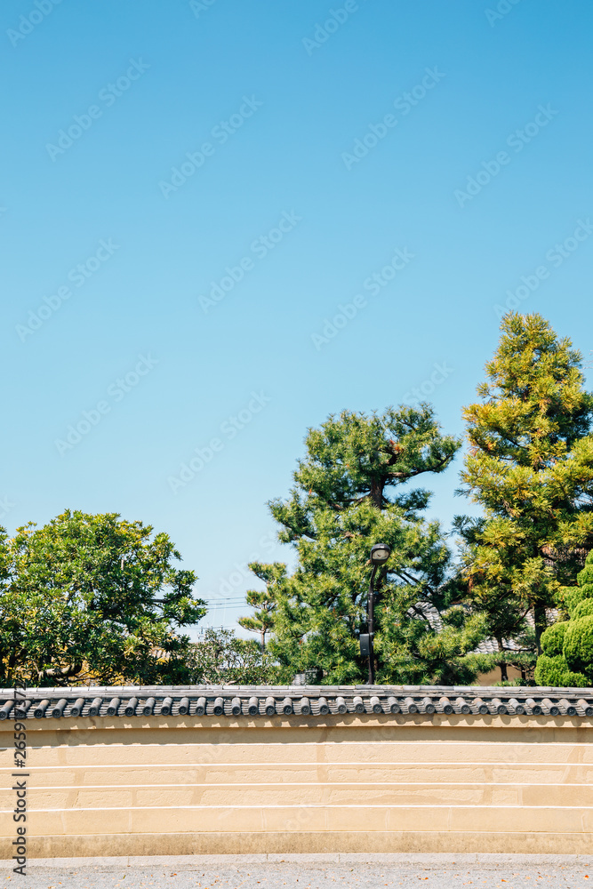 Toji temple traditional garden in Kyoto, Japan Toji temple traditional garden in Kyoto, Japan